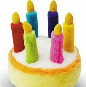 🍋Multipet Birthday Cake 5.5" 5.5" diameter New!
